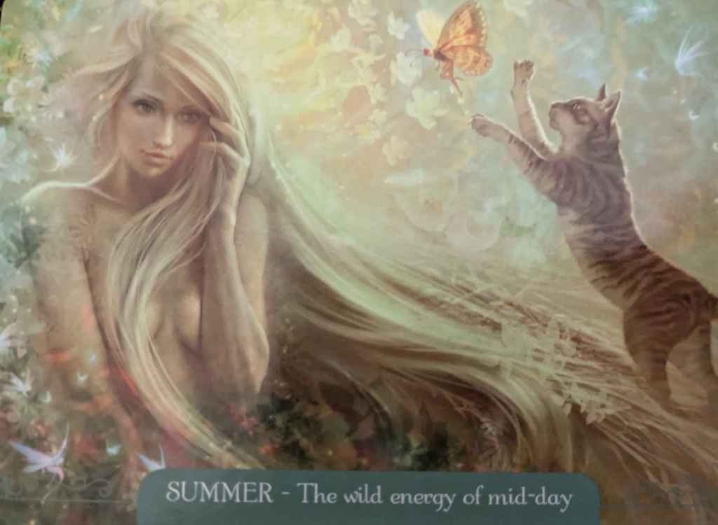Weekly Oracle Reading: Summer – The wild energy of midday (Week beginning 30 June&nbsp;2025)