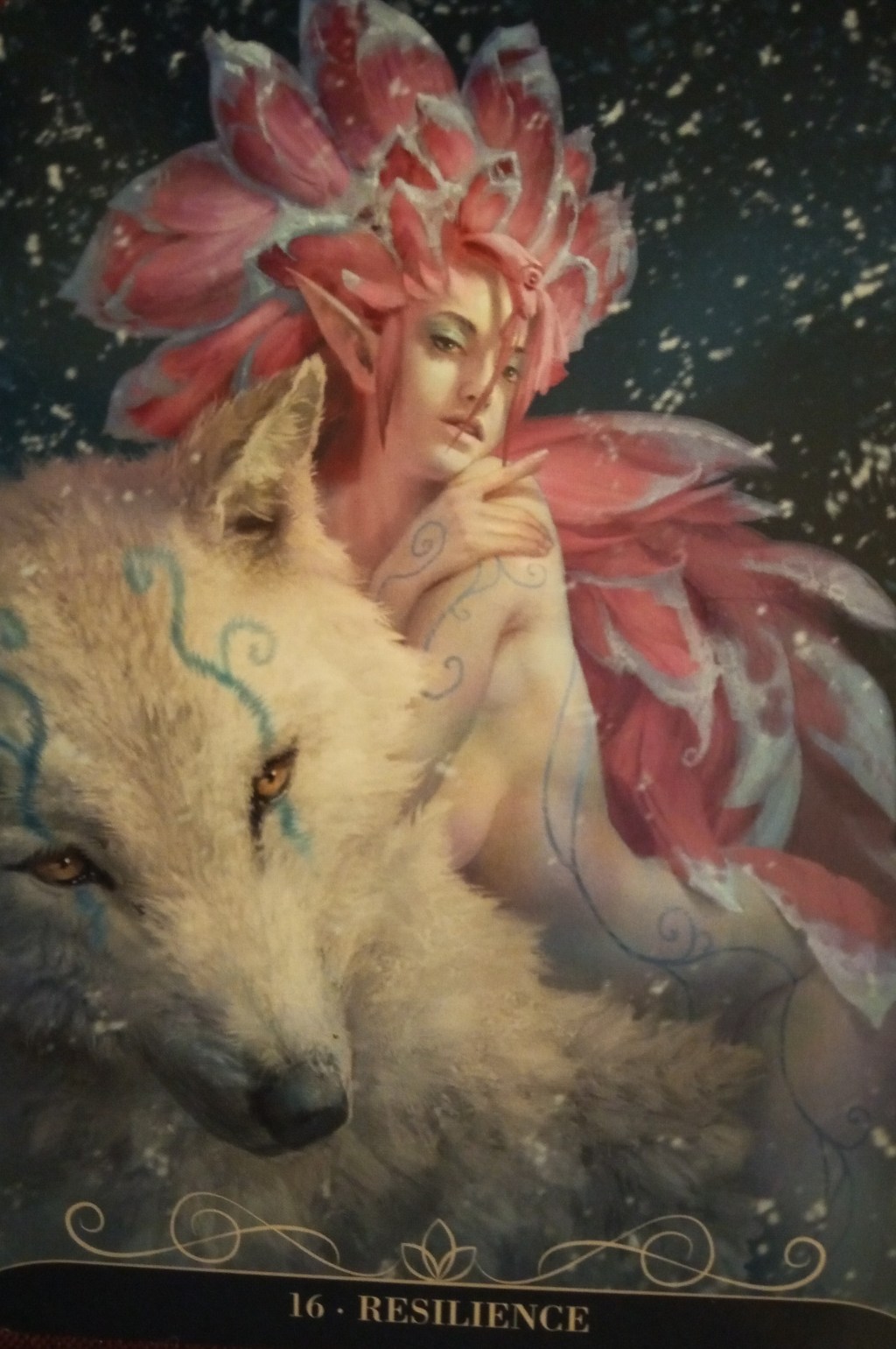 Weekly Oracle Reading (Week beginning Monday  26 January 2026):&nbsp;Resilience