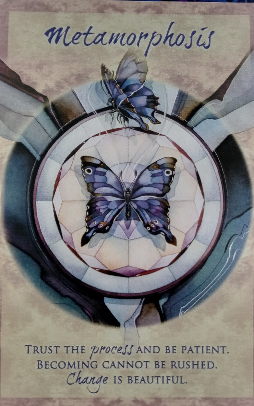 Weekly Oracle Reading (Week beginning Monday 25 May 2025):&nbsp;Metamorphosis